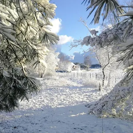 Gorgeous In With Wifi Ferienhaus *