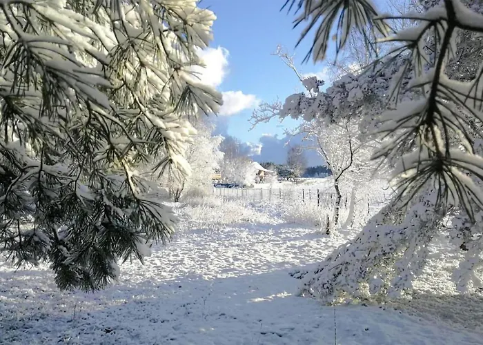 Gorgeous In With Wifi Prázdninový dům *